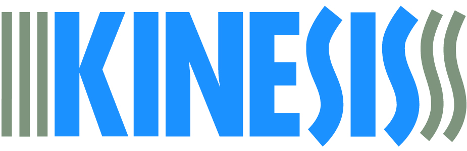 Easy Ergonomics 33 Kinesis logo